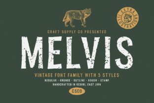 Melvis Family: Vintage Font for Editorial Design and Digital Publishing